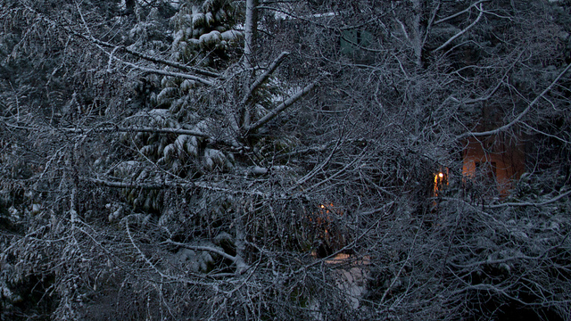 Snow lingering on tree limbs in winter; photo courtesy Glasseyes View